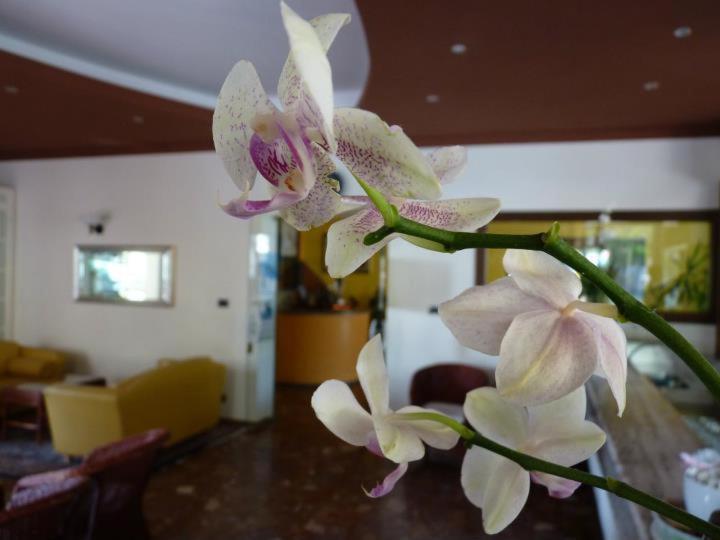 Hotel Gambrinus Lido di Jesolo Exterior foto